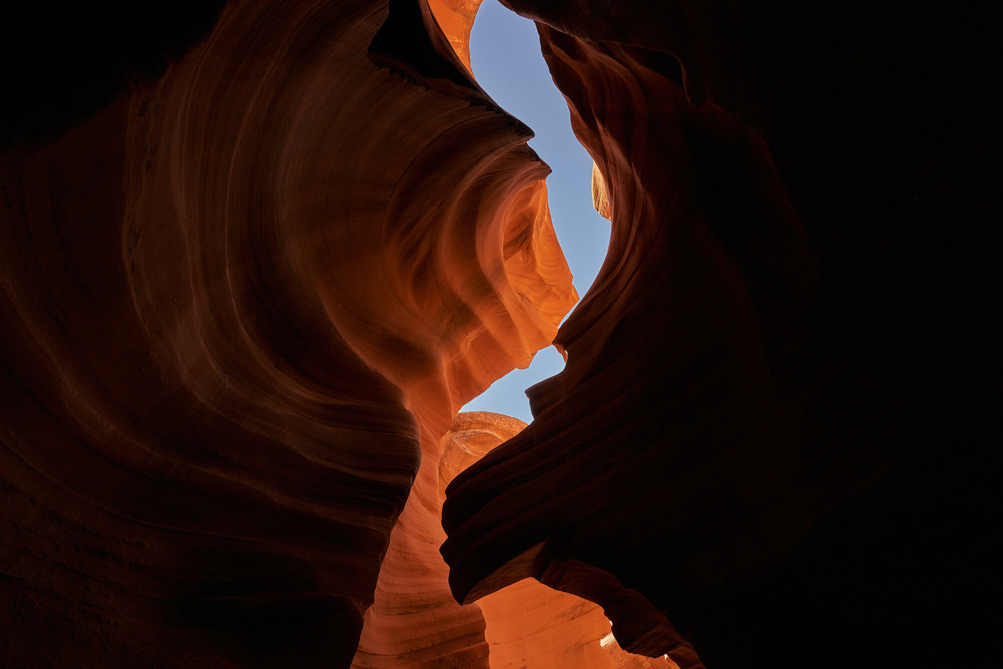 benjamin-massello-BVNhd4c7rqg-unsplash